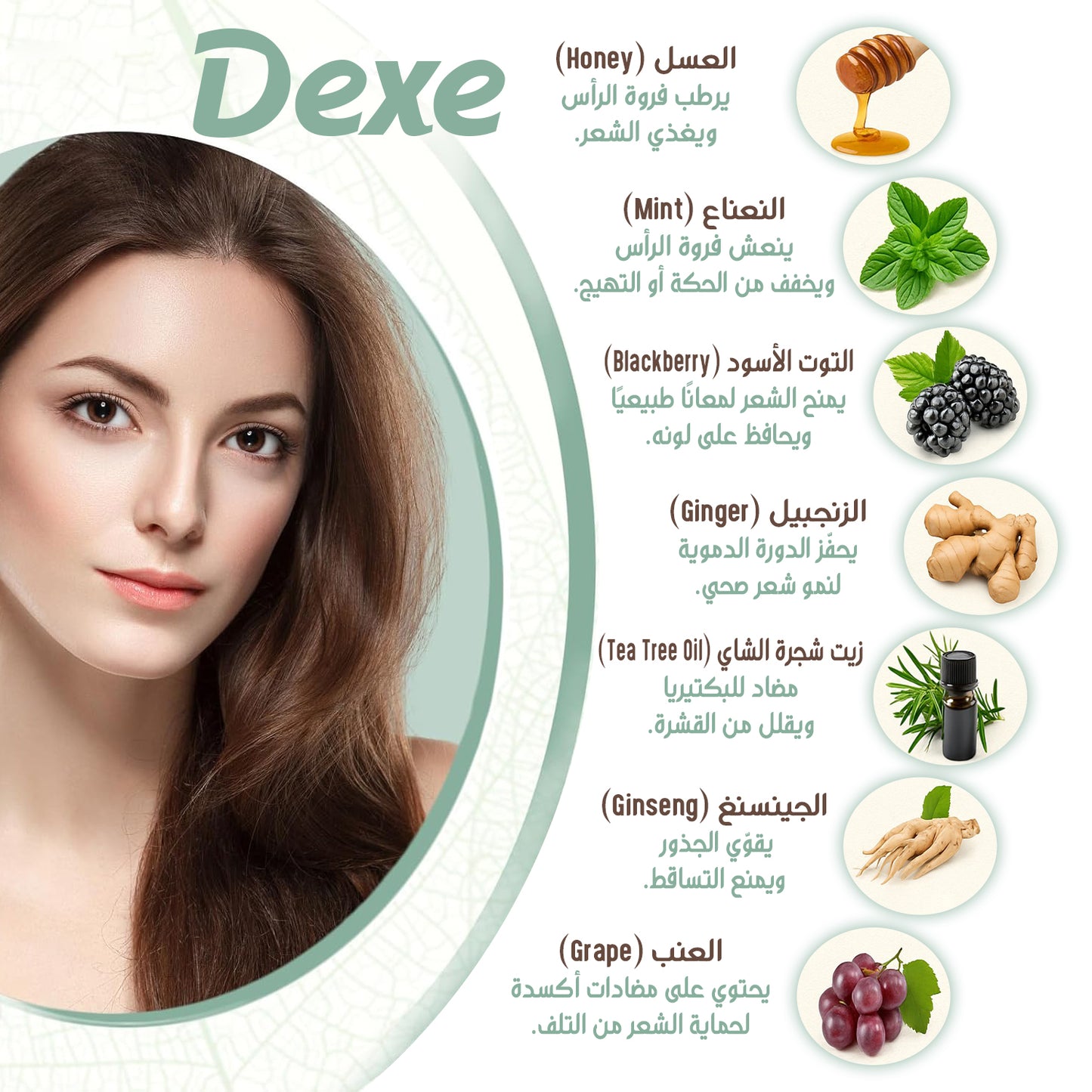 Dexe شامبو صبغة الشعر بالأرغان - بني غامق، 500 مل | تغطية كاملة للشيب، تركيبة طبيعية بثلاث فوائد في منتج واحد